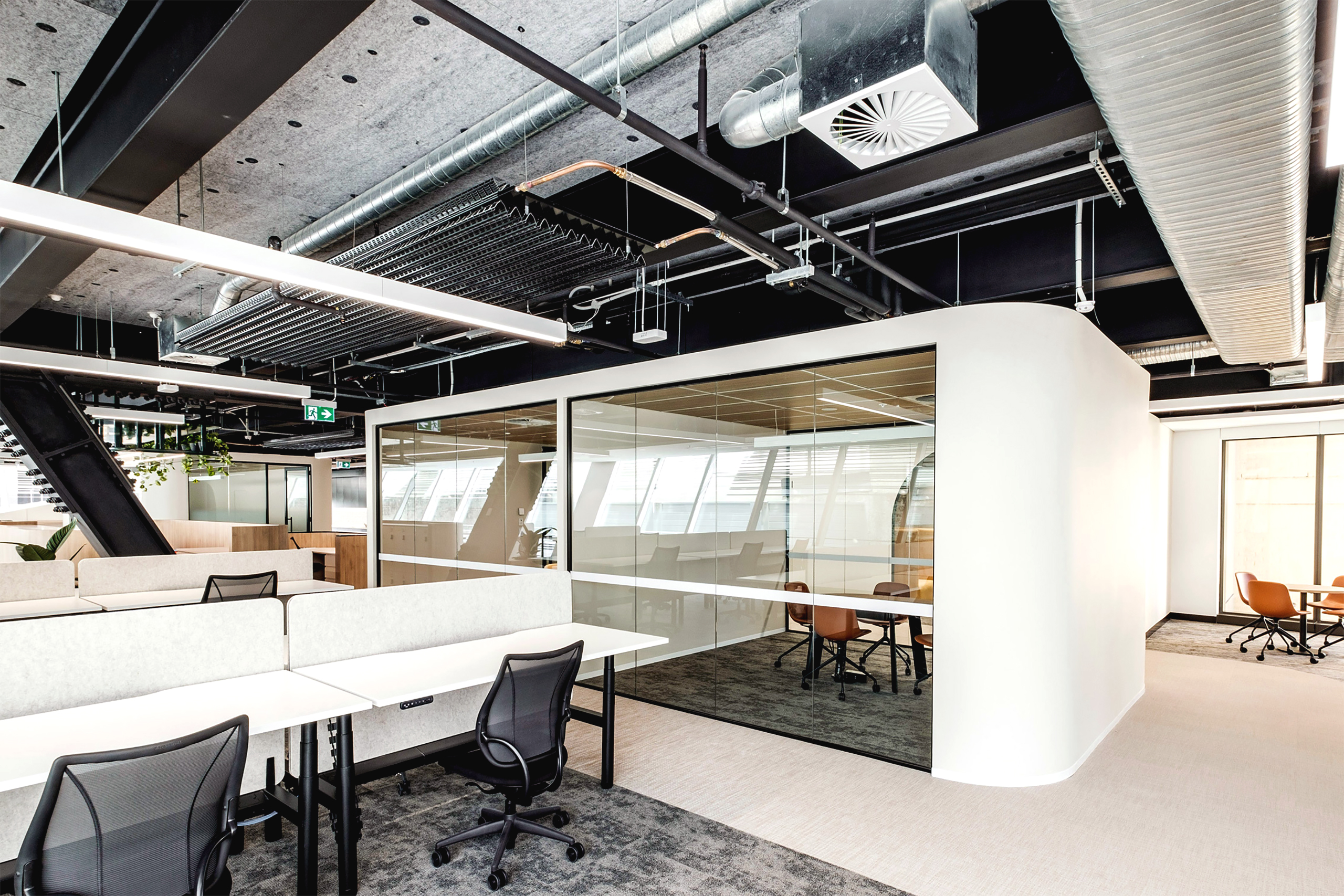 Another view of one of the offices inside the newly refurbished 183 Clarence Street building Another view of one of the offices inside the newly refurbished 183 Clarence Street building