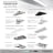 Product Solutions Flyer